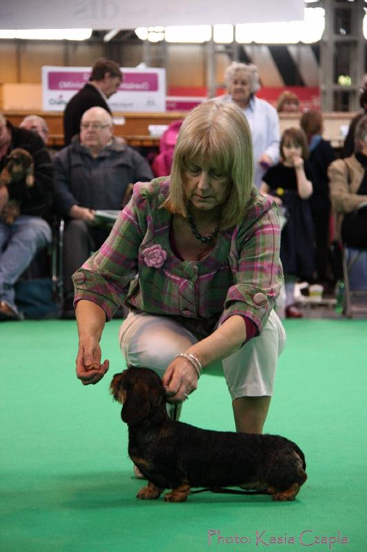 Crufts2011_2 1410.jpg